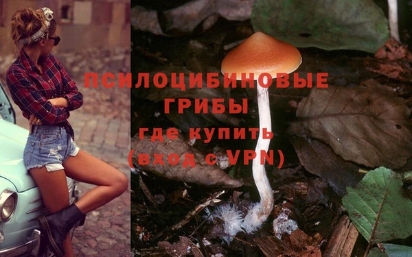 МДПВ Абдулино