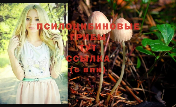 ПСИЛОЦИБИНОВЫЕ ГРИБЫ Абинск