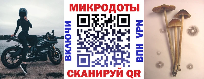 что такое наркотик MEGA tor Псилоцибиновые грибы мухоморы Камень-на-Оби